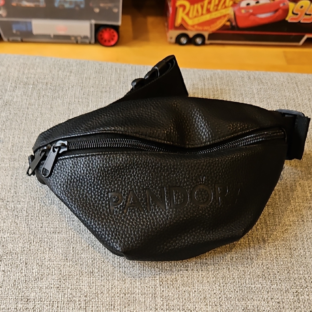 Pandora Black Textured Fanny Bag
